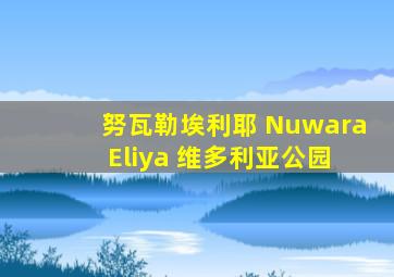 努瓦勒埃利耶 Nuwara Eliya 维多利亚公园